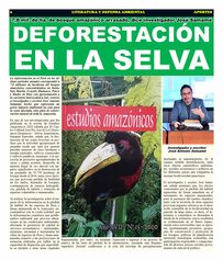 Deforestación en la Selva